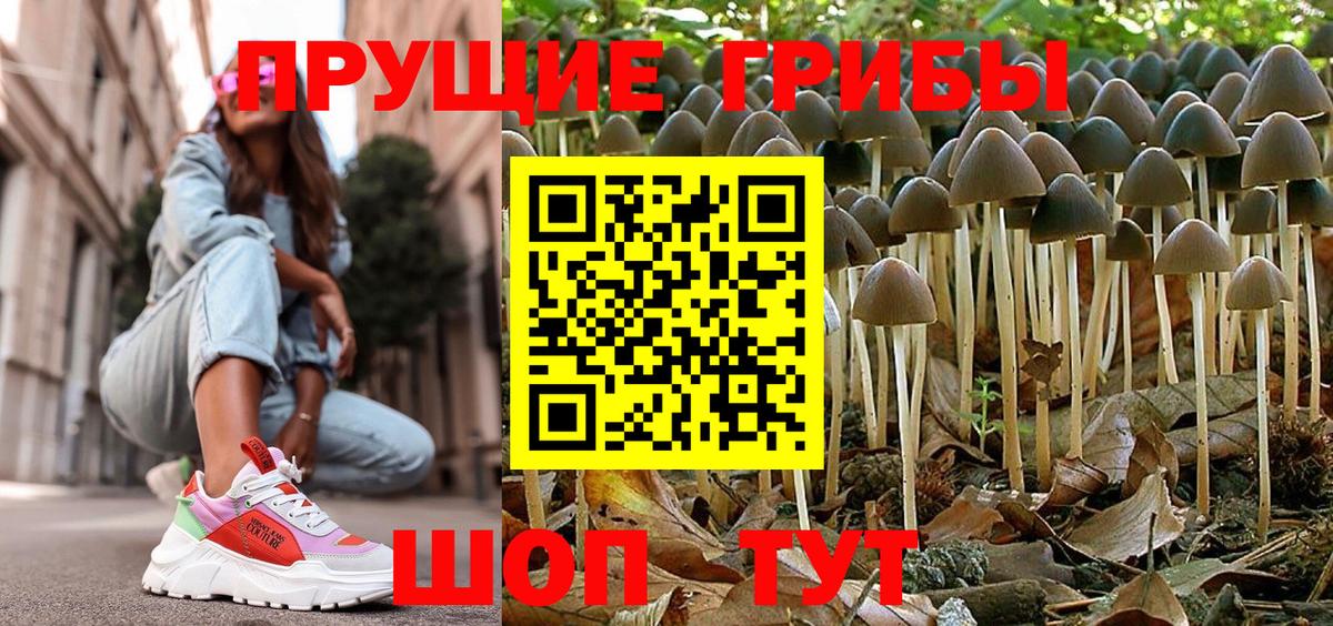 Псилоцибиновые грибы Magic Shrooms Видное